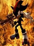 pic for shadow the hedgehog
